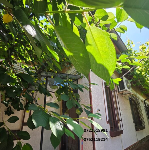 Iancului, Vatra Luminoasa, casa individuala.